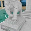 玉溪 白麻花岗岩动物异形石雕-大象