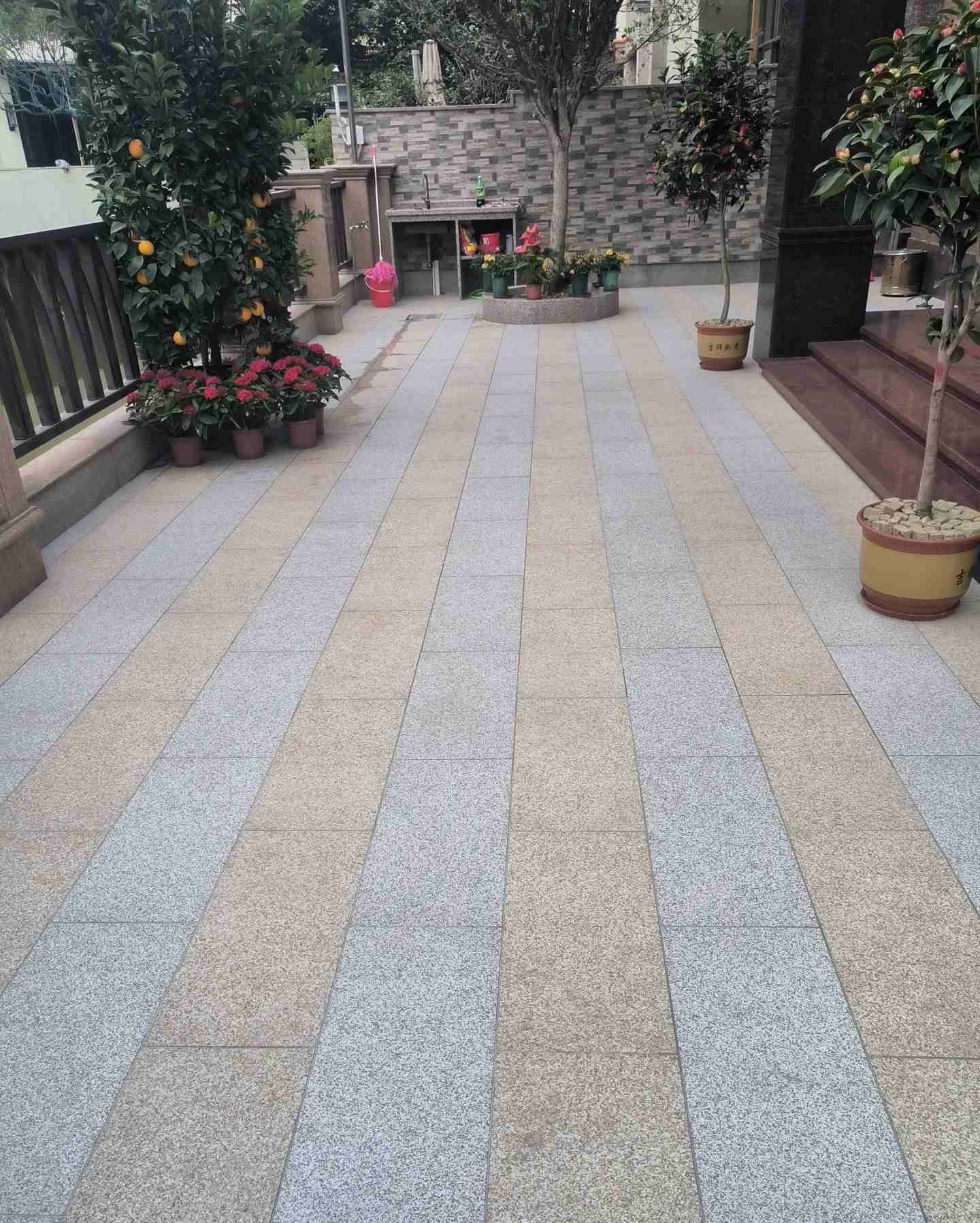 玉溪 黄金麻白麻荔枝面庭院铺装展示